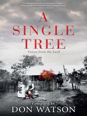 cover image of A Single Tree